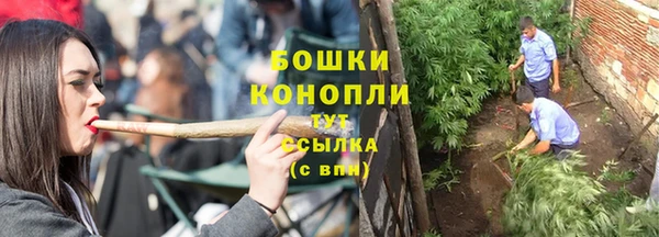 Альфа ПВП Осташков